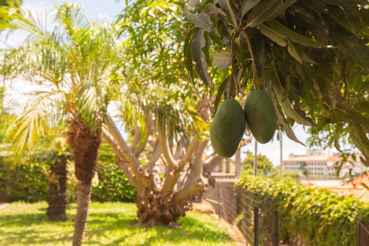 Pilar House Villa Funchal  Ngoại thất bức ảnh
